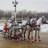 Воскресный день на ЦМИ