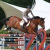Этап Кубка мира по конкуру и Чемпионат России в КСК Отрада 