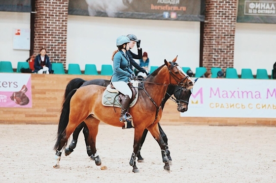 Итоги Зимнего Кубка Молодежи по конкуру в Maxima Stables