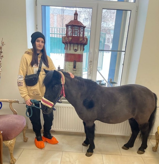 Лошадка в гостях в «Доме с маяком»