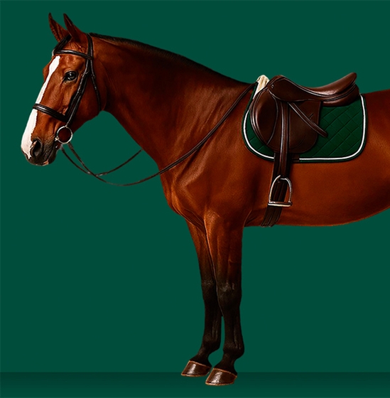 Навстречу серьезным отношениям