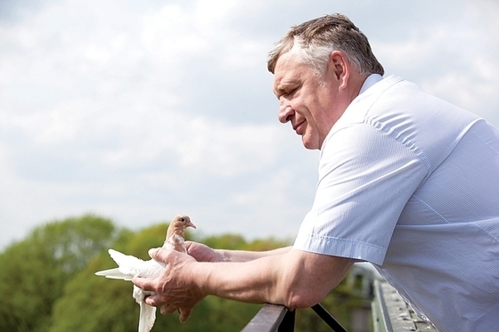 В Подмосковье трагически погиб известный коневладелец и меценат Виктор Аверин