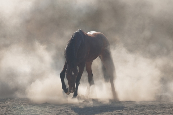 Иранское золото
