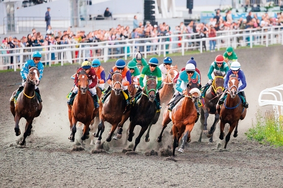 Странности и закономерности сезона–2025