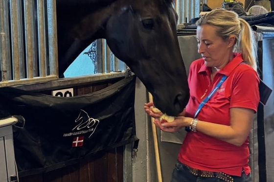  Удар для датской сборной: звезда выездки Гранд Галиано продан в Швецию