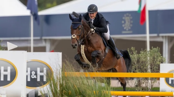 Ян Венмейрен продал свою лучшую лошадь