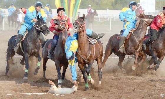 Традиции «Кок-бору» обернулись штрафом