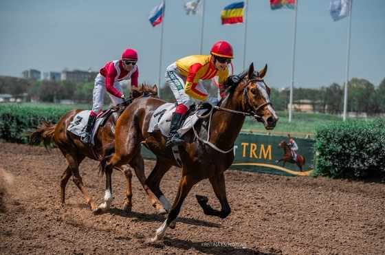 Генпрокуратура потребовала вернуть государству Ростовский ипподром