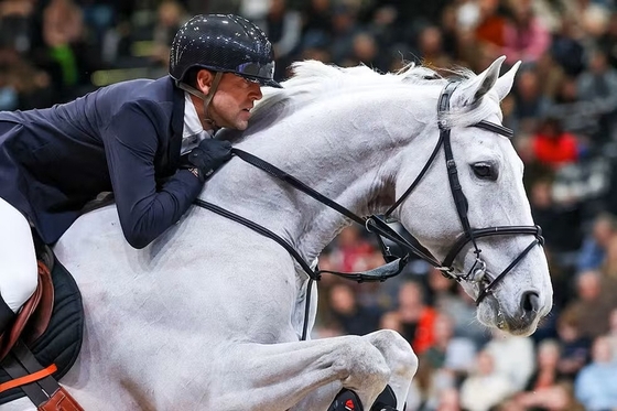 Скандал в конкуре