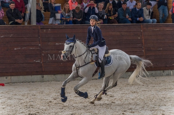 Впереди - финал Кубка Maxima Stables по конкуру!