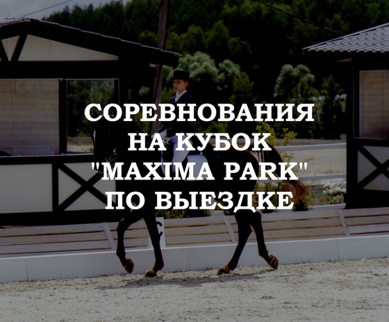 Кубок Maxima Park по выездке 