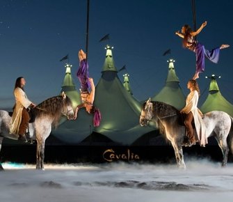 Компания Cavalia объявила о банкротстве