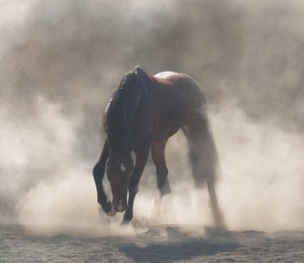 Иранское золото