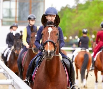 Учат в школе?