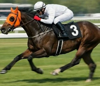 Скандал в Турции: скаковую лошадь Смарт Лэтч съели в столовой