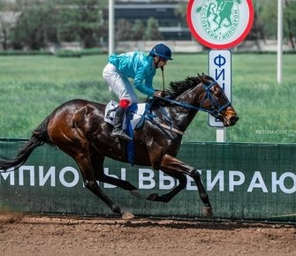 29 апреля суд решит судьбу Ростовского ипподрома