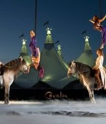 Компания Cavalia объявила о банкротстве