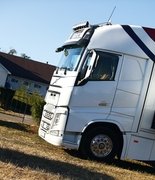 Куда взлетают цены на конеперевозки?