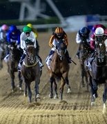 Скачки несмотря ни на что