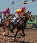 Генпрокуратура потребовала вернуть государству Ростовский ипподром