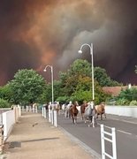 Пожары во Франции и Испании: эвакуация людей и лошадей в Бискарроссе