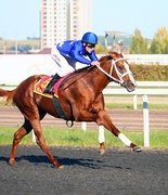 Новый рекорд Казанского ипподрома